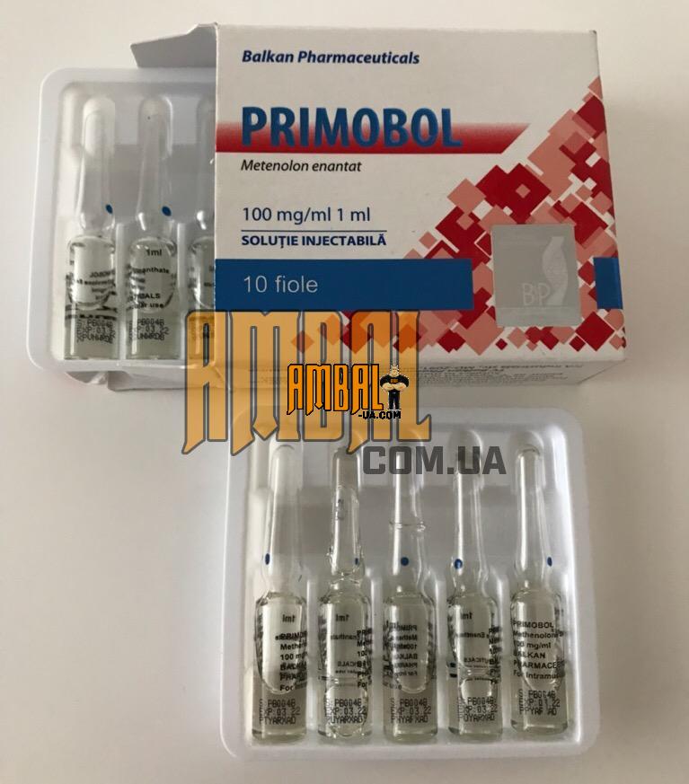 0513ED56-F0FB-4BB1-98DB-0B2C82E1199A Balkan Primobol