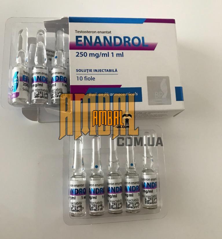 6FA96B02-1554-49DB-92AA-40EEC55C2B70 ENANDROL 250mg Balkan