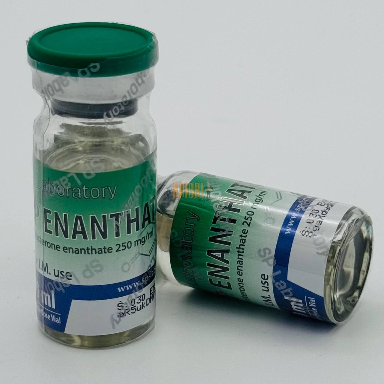 SP Enanthate 250mg (тестостерон енантат) SP Enanthate 250mg (тестостерон енантат)