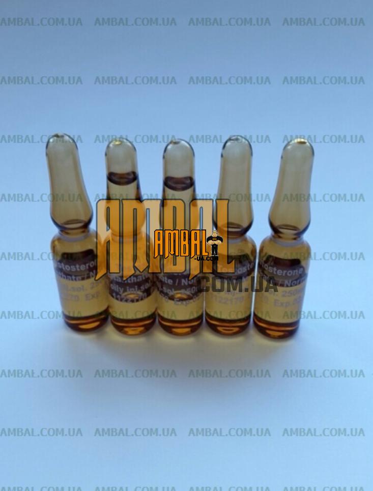 Testosterone-Enanthate-250mg-Norma Testosterone Enanthate 250mg Norma