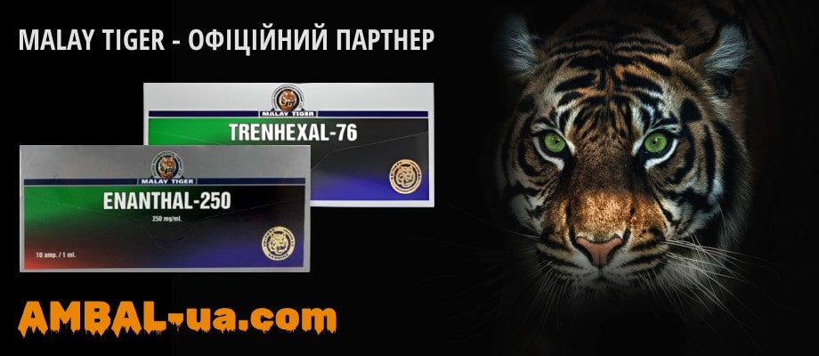 slide https://www.ambalua.co/wp-content/uploads/2023/06/baner-2-min.jpg