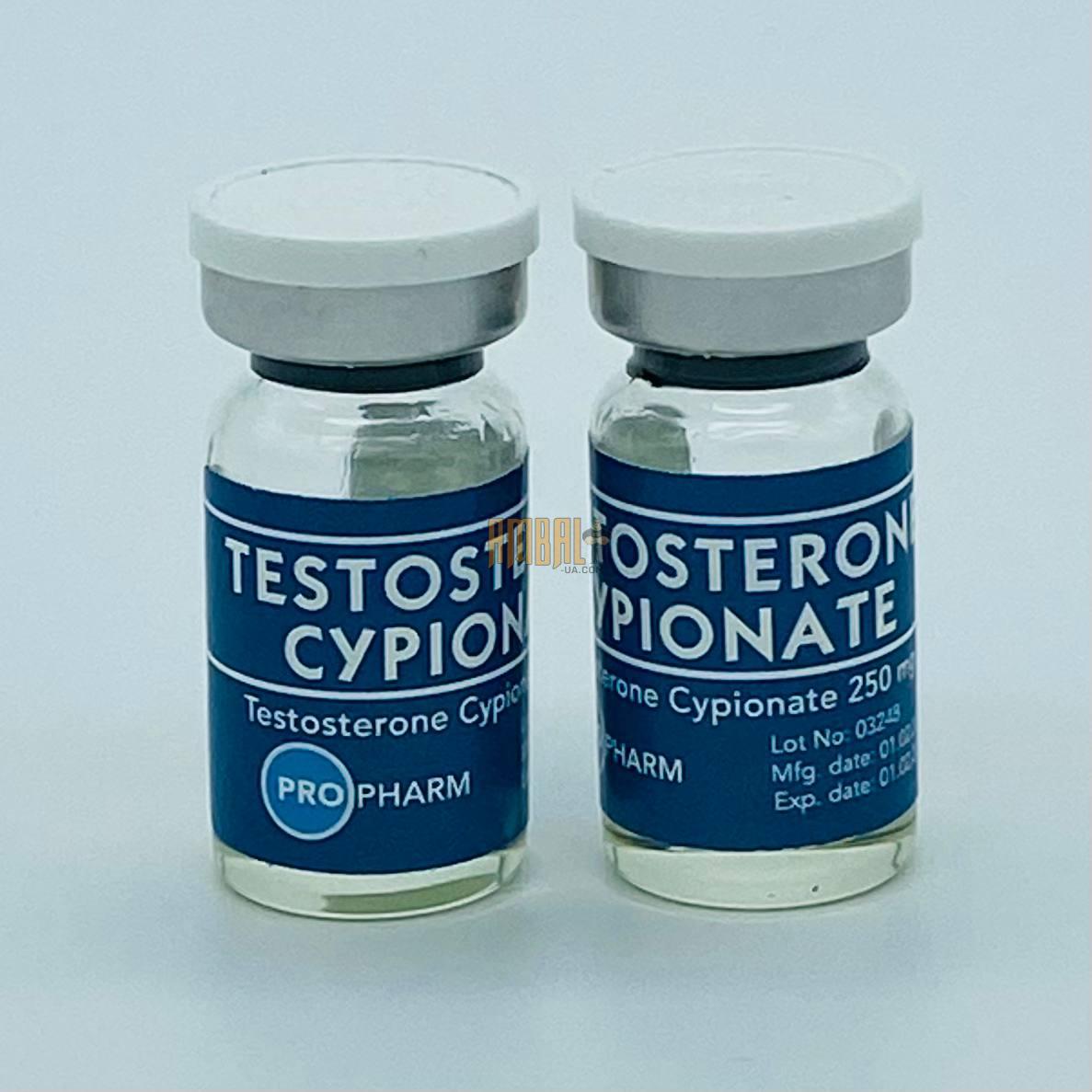 testosterone cypionat 250 Testosterone Cypionat 250mg 5ml