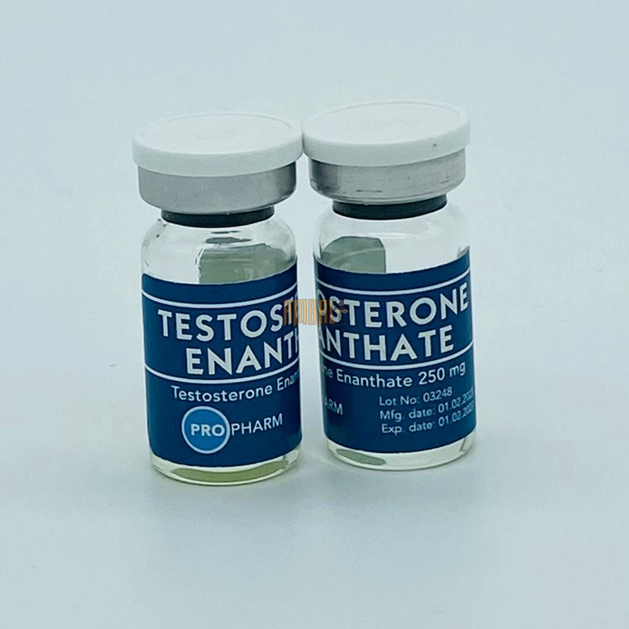 testosterone enanthate Testosterone Enanthate 250 5ml Pro Pharm